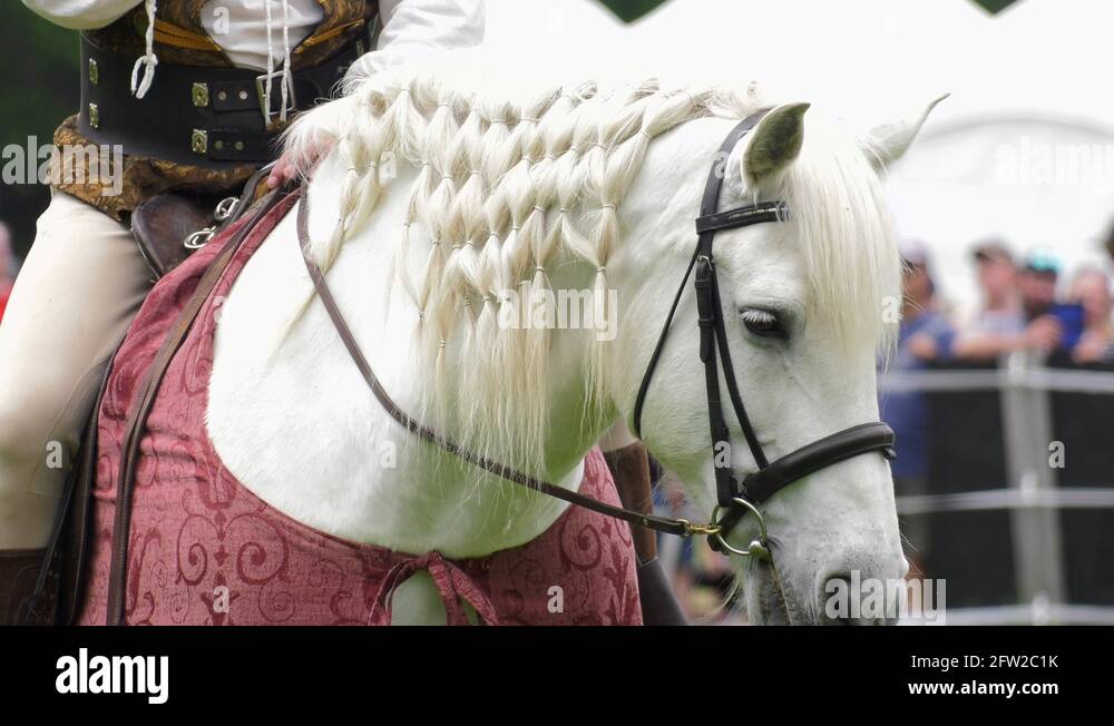 Medieval horse rider Stock Videos & Footage HD and 4K Video Clips Alamy
