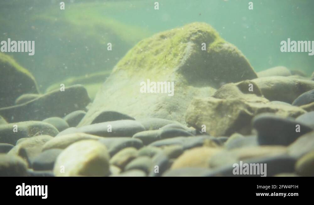 Mud and stones Stock Videos & Footage - HD and 4K Video Clips - Alamy