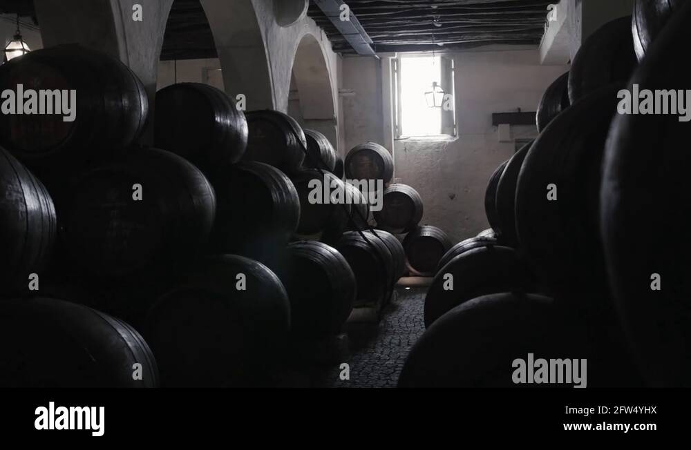 Barrel rows in winery Stock Videos & Footage - HD and 4K Video Clips ...