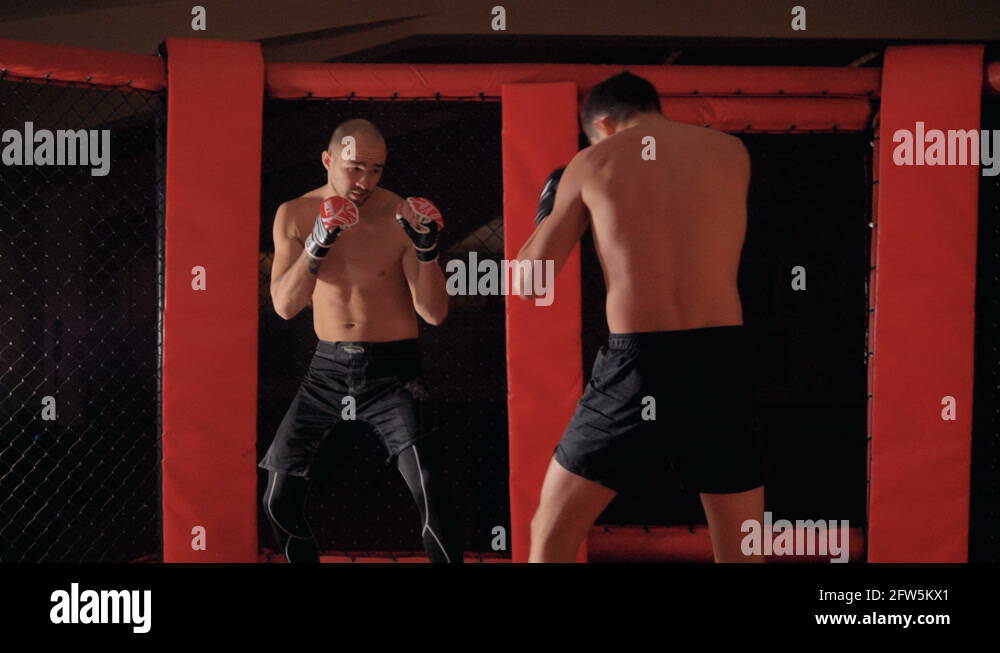 MMA fighter throws down opponent to a mma ring floor after knockout