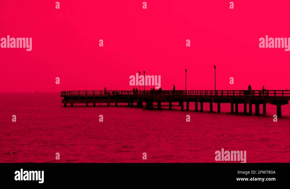 Texas sport recreation ocean water donley despain rekindle corpus