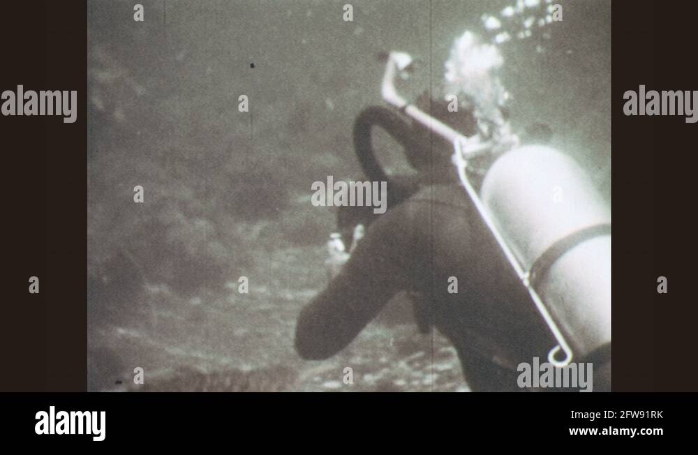 1950s Underwater behind view of scuba diver swimming. View of kelp