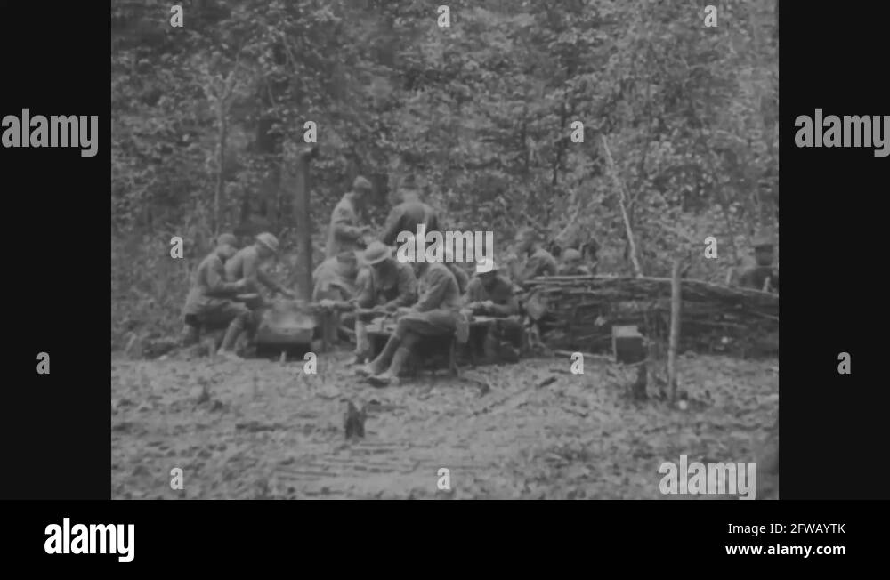 313th regiment infantry division Stock Videos & Footage HD and 4K