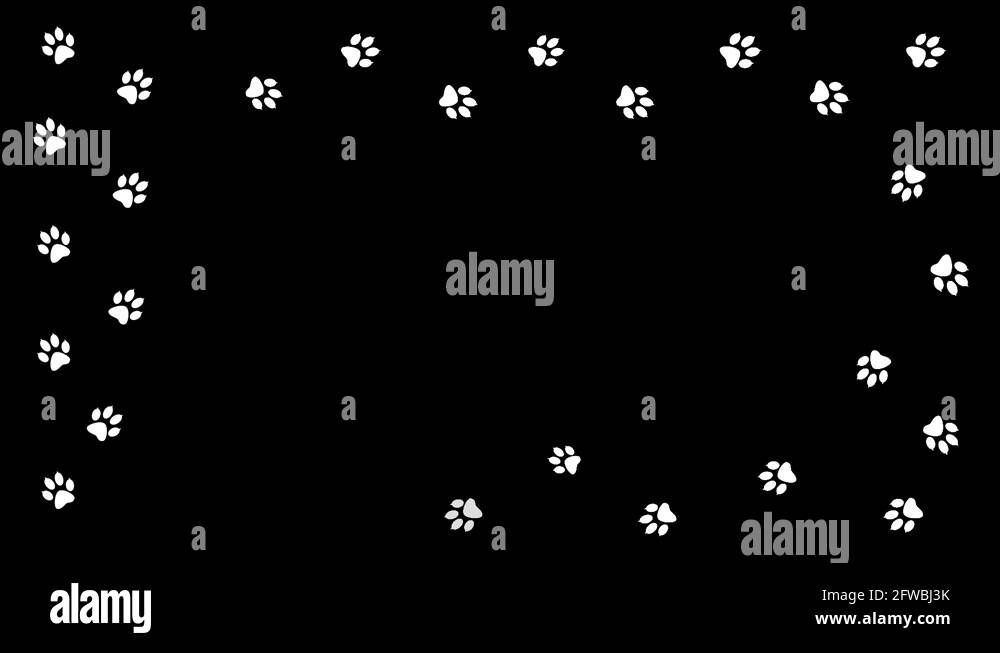 Background with animal paw prints by frame Stock Video Footage - Alamy