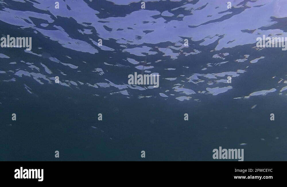 Distortion seaside Stock Videos & Footage - HD and 4K Video Clips - Alamy