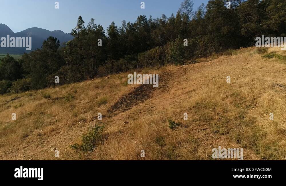 Path with a bend Stock Videos & Footage - HD and 4K Video Clips - Alamy