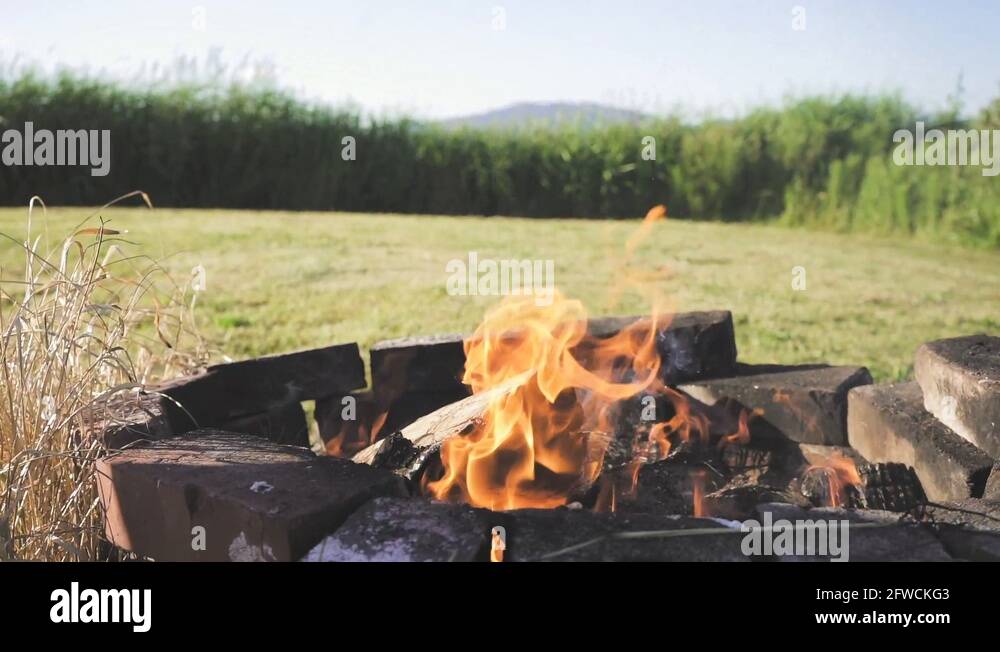 Cooking hot dogs over fire Stock Videos & Footage HD and 4K Video