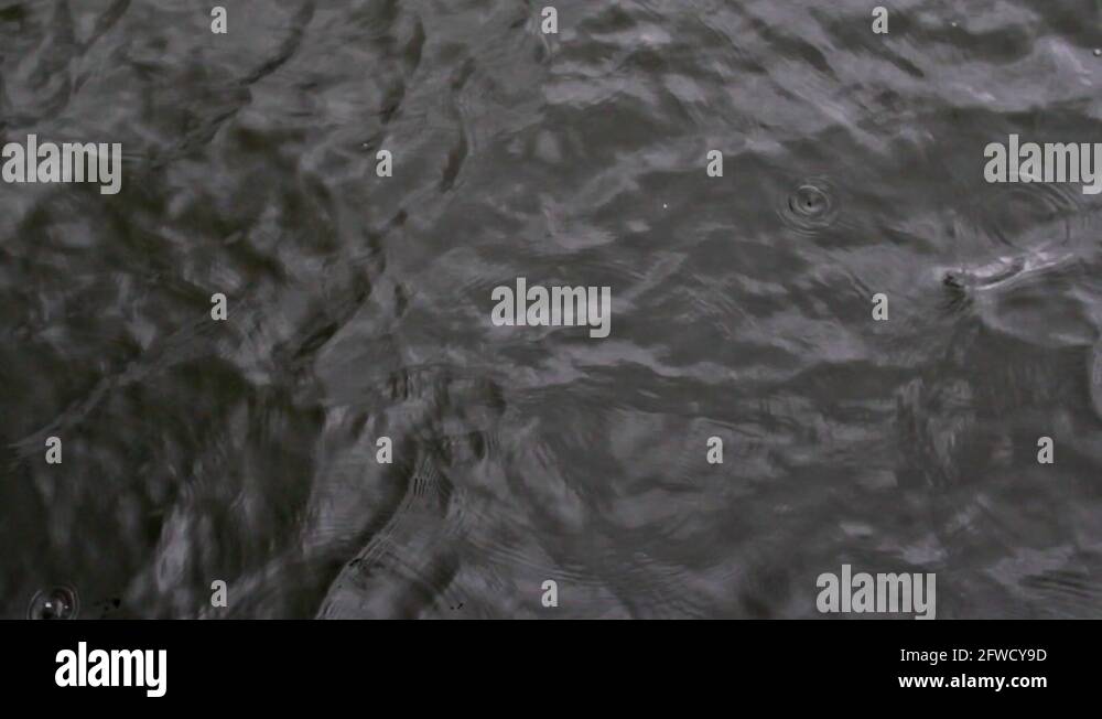 Conroe and texas Stock Videos & Footage HD and 4K Video Clips Alamy