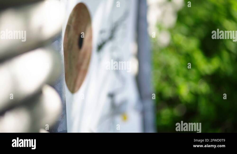 Avoid accidents Stock Videos & Footage - HD and 4K Video Clips - Alamy