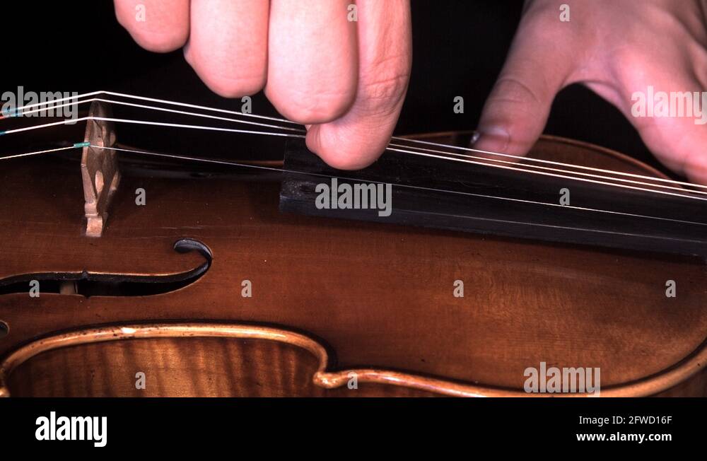 Bartok violin Stock Videos & Footage HD and 4K Video Clips Alamy