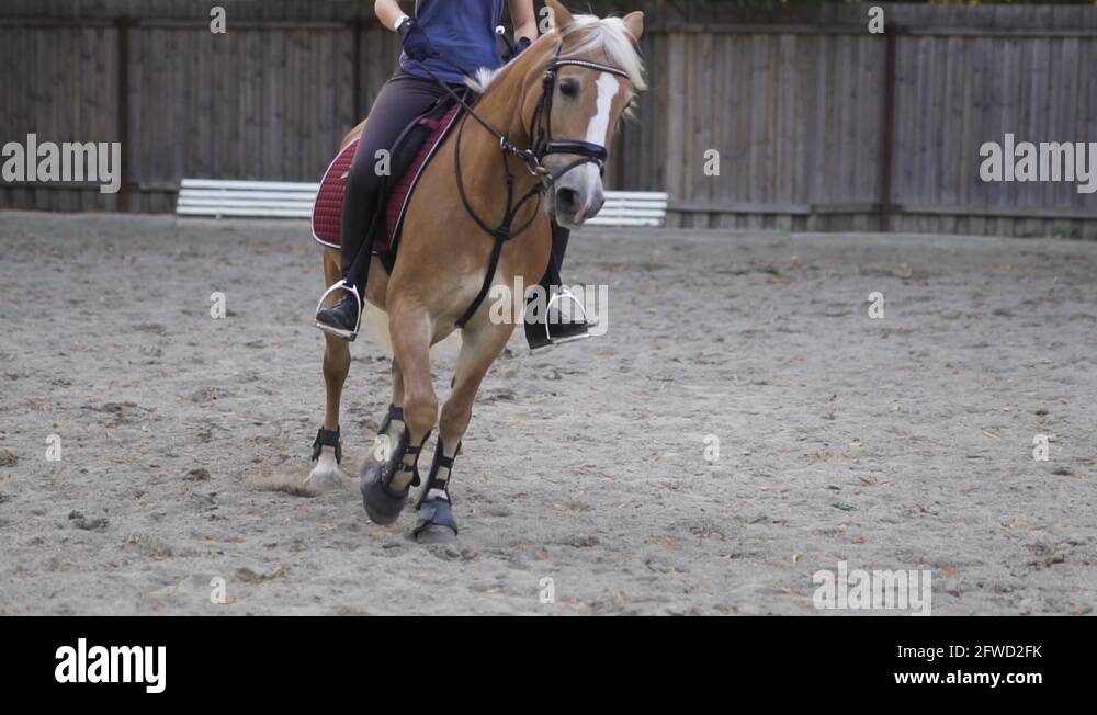 Leg braces Stock Videos & Footage HD and 4K Video Clips Alamy