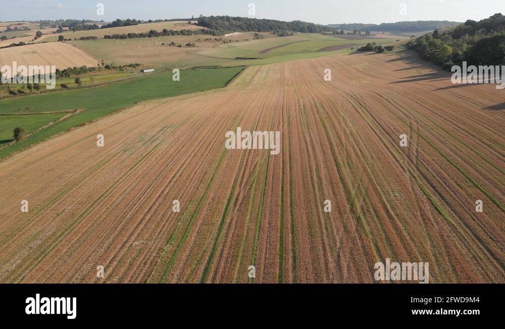 Crop farmland france rural Stock Videos & Footage HD and 4K Video Clips Alamy
