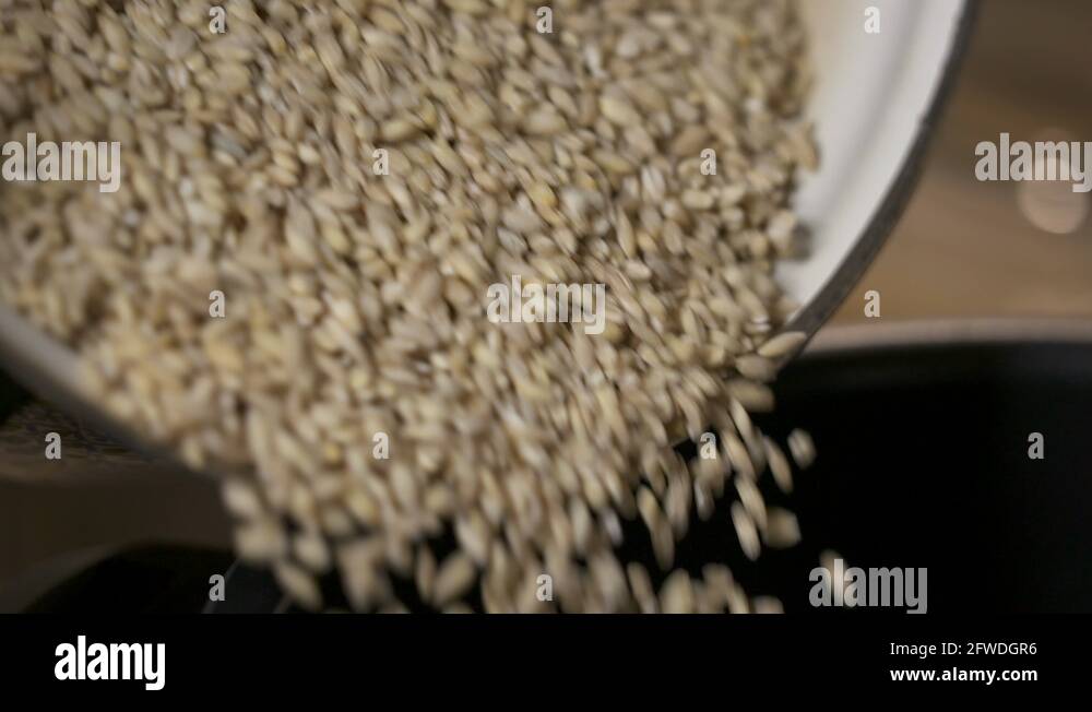 Grain barley Stock Videos & Footage HD and 4K Video Clips Alamy