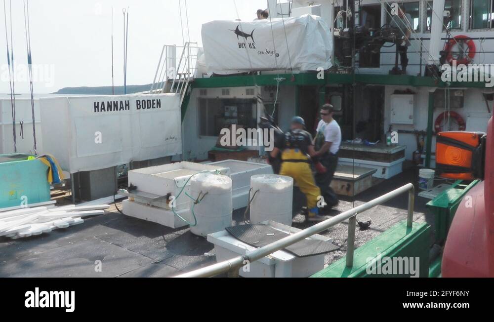 Swordfish boat Stock Videos & Footage HD and 4K Video Clips Alamy