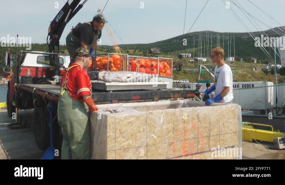 Hannah boden swordfish boat in Stock Videos & Footage HD and 4K Video