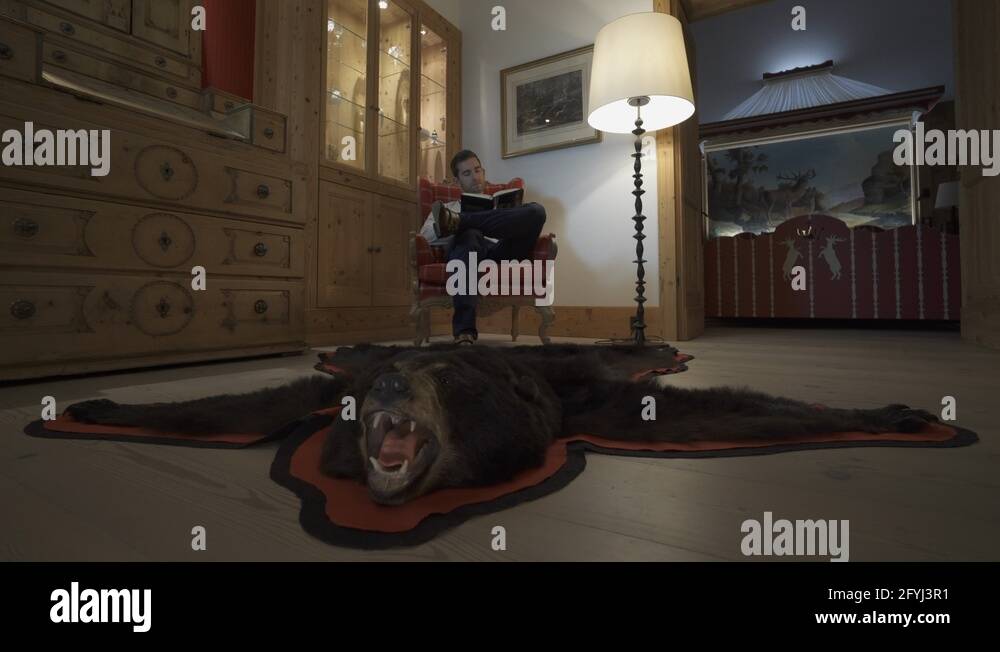 Bearskin rug Stock Videos & Footage HD and 4K Video Clips Alamy