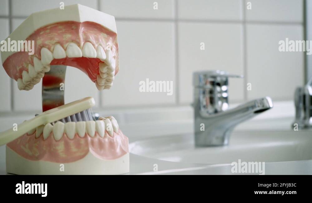 Teeth and a giant toothbrush in a Dentist's office for explaining how