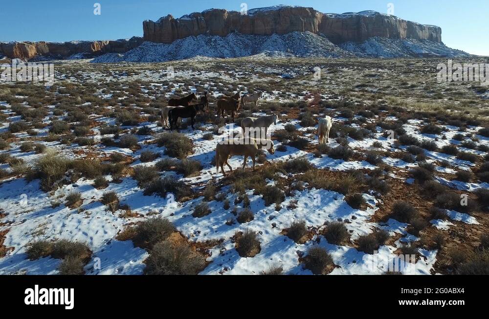 Indian horse country reservation Stock Videos & Footage HD and 4K