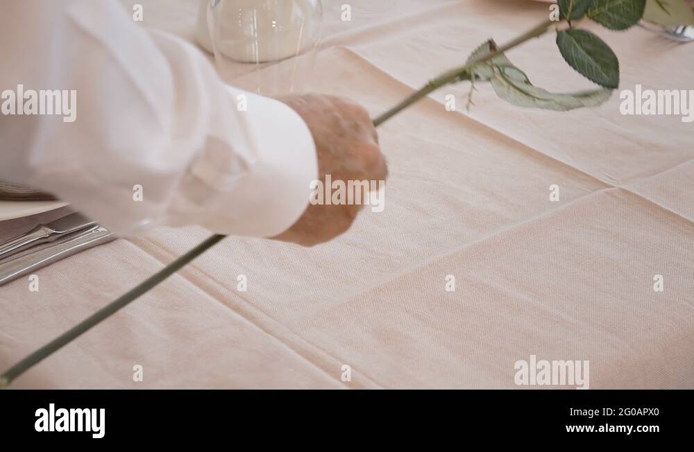 Table rose Stock Videos & Footage HD and 4K Video Clips Alamy