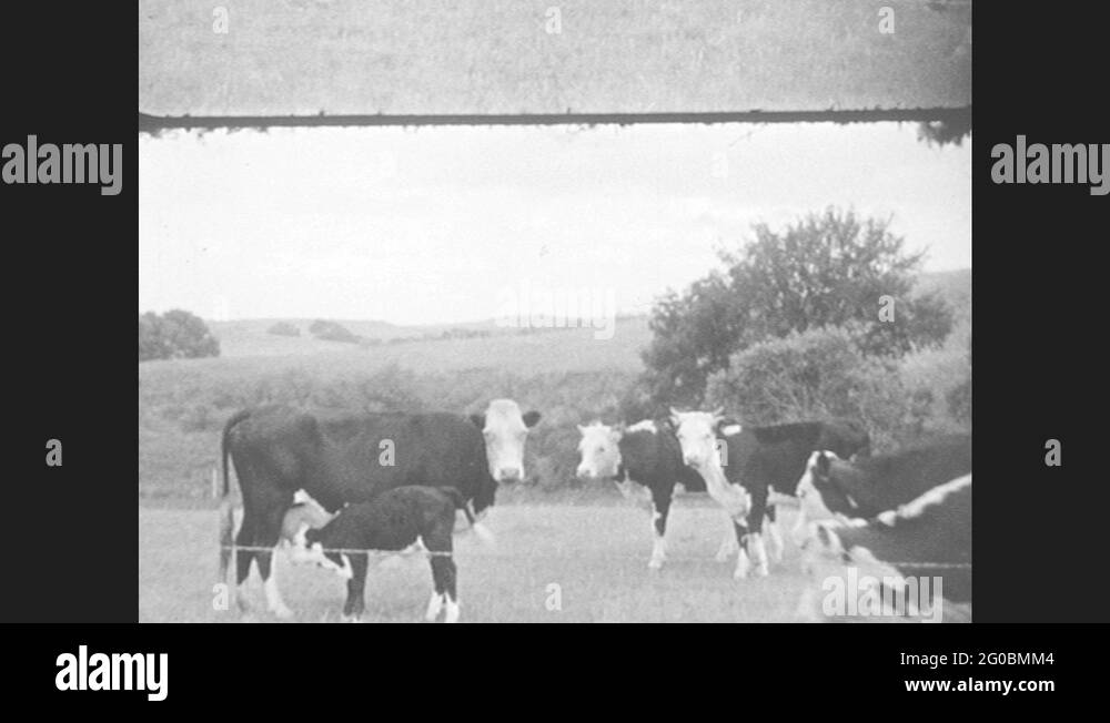 1930s agriculture Stock Videos & Footage - HD and 4K Video Clips - Alamy