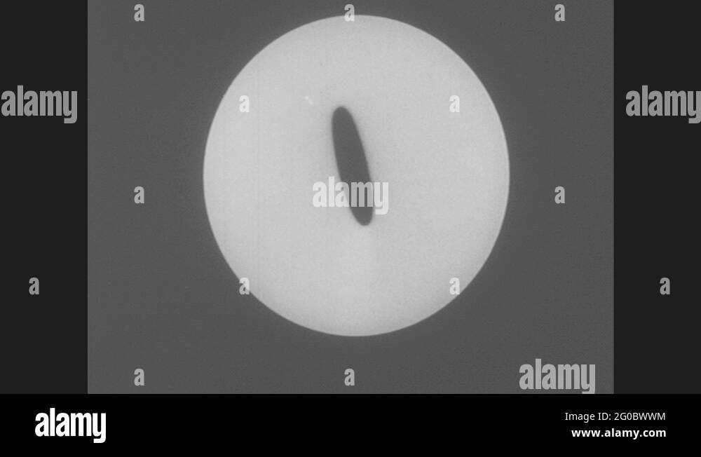 Oval cells Stock Videos & Footage HD and 4K Video Clips Alamy