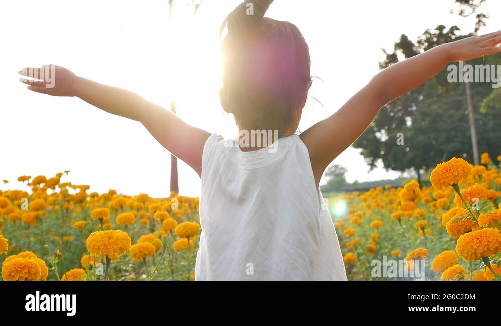 Extend the arms Stock Videos & Footage HD and 4K Video Clips Alamy