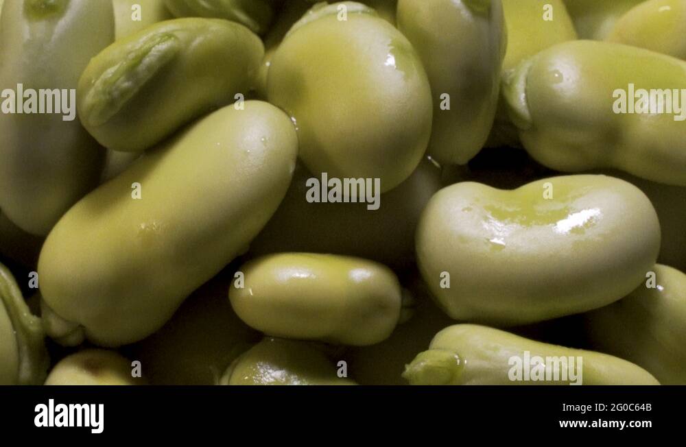 Broad beans on plant Stock Videos & Footage HD and 4K Video Clips Alamy