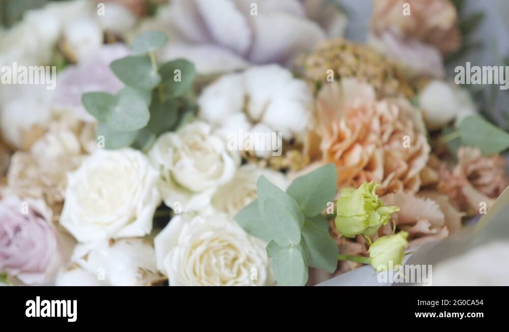 Refrigerator flower Stock Videos & Footage HD and 4K Video Clips Alamy