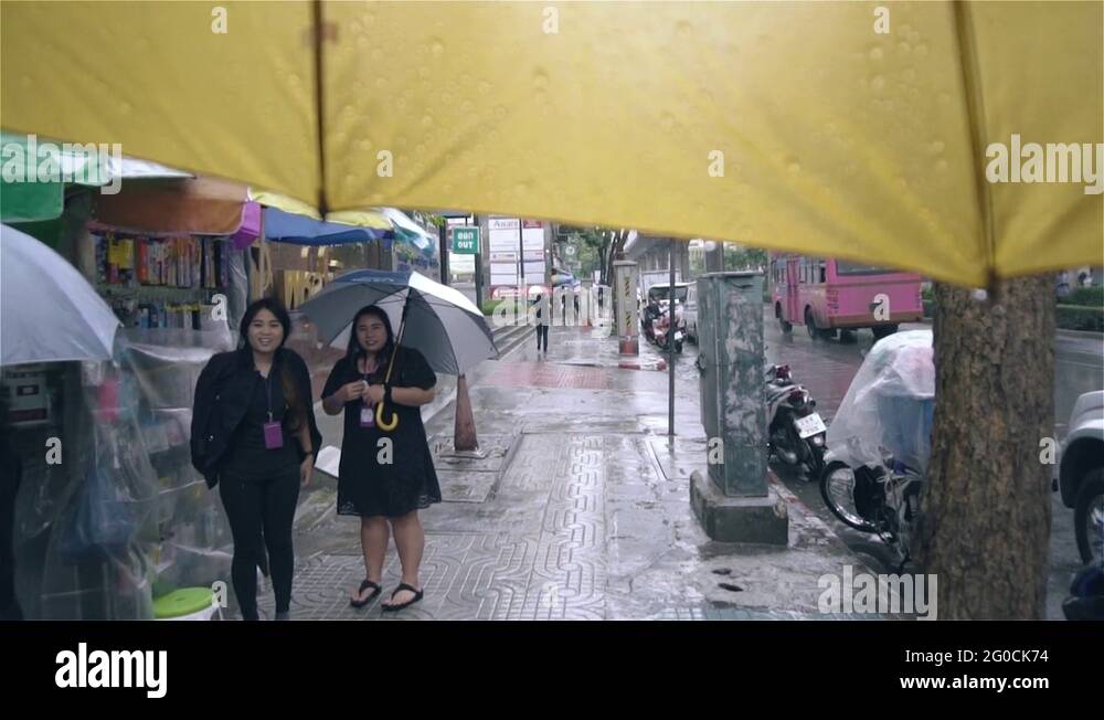 Man walking rain umbrella Stock Videos & Footage - HD and 4K Video