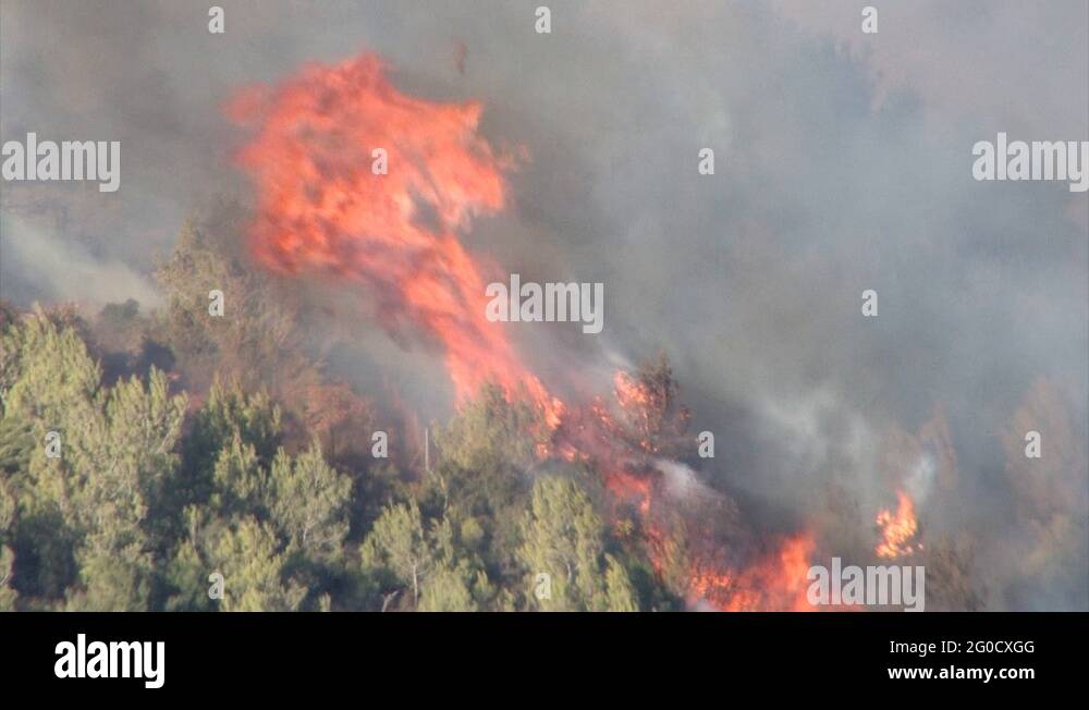 Mount carmel forest fire Stock Videos & Footage HD and 4K Video Clips Alamy