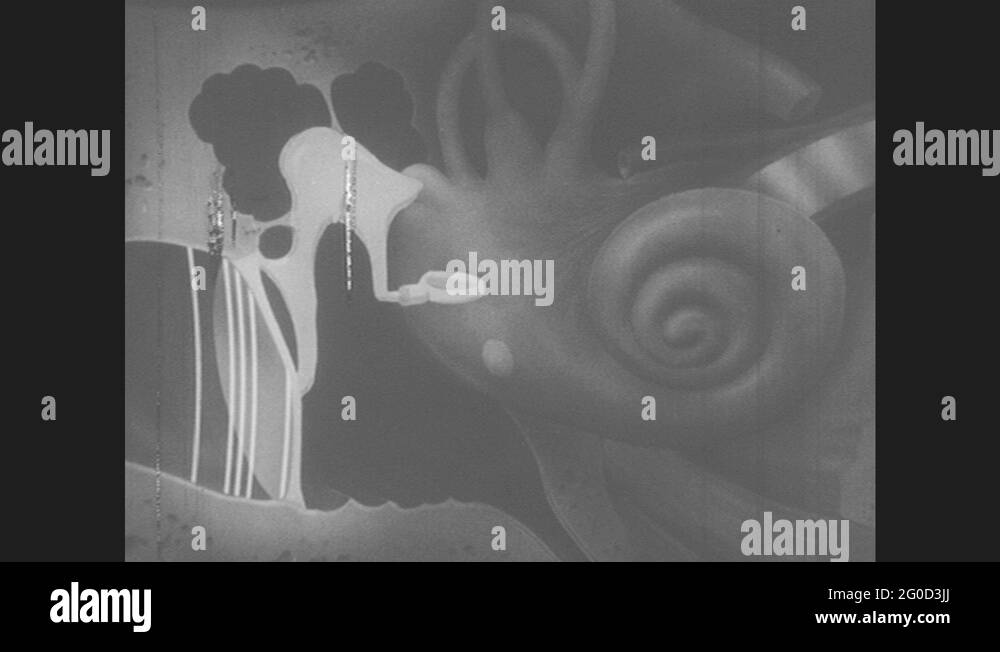 Ear hammer Stock Videos & Footage HD and 4K Video Clips Alamy