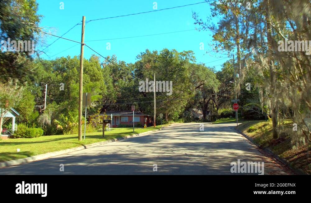 Willow tree intersection Stock Videos & Footage HD and 4K Video Clips