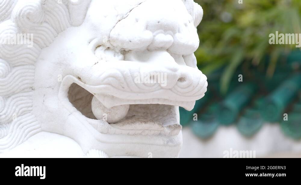 Chinese dragon ball in mouth Stock Videos & Footage HD and 4K Video Clips Alamy