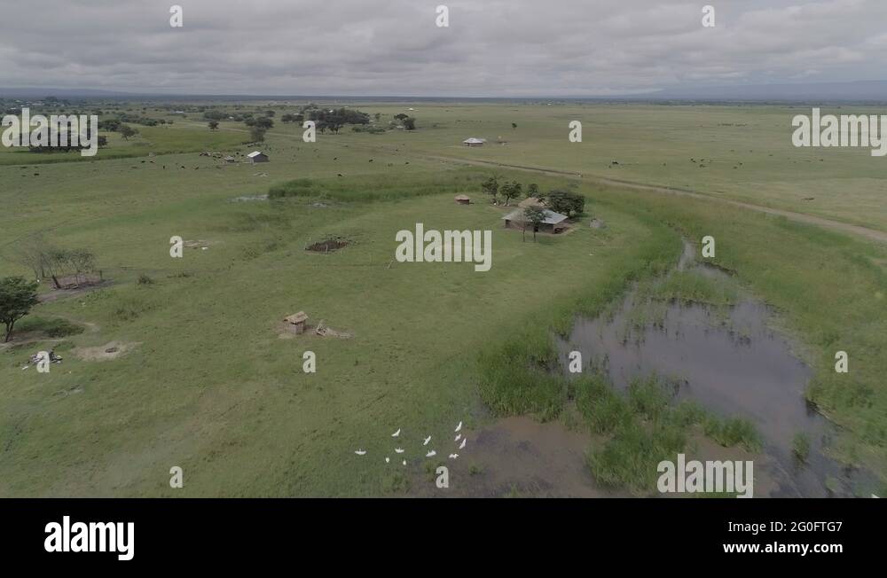 Unveiling The Secrets Of East Africas Grasslands A 7 Word Mystery - ftrlsxe