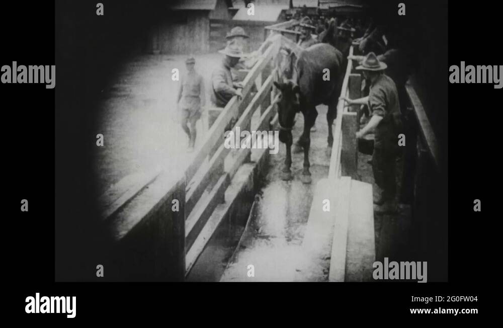 Camp quartermaster Stock Videos & Footage HD and 4K Video Clips Alamy