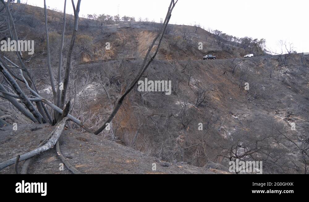Burnt ash road Stock Videos & Footage HD and 4K Video Clips Alamy
