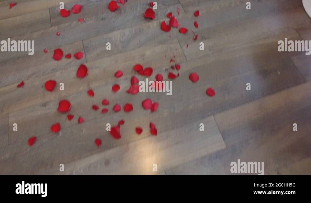 Petals on the floor and cute couple kissing on the couch Stock Video