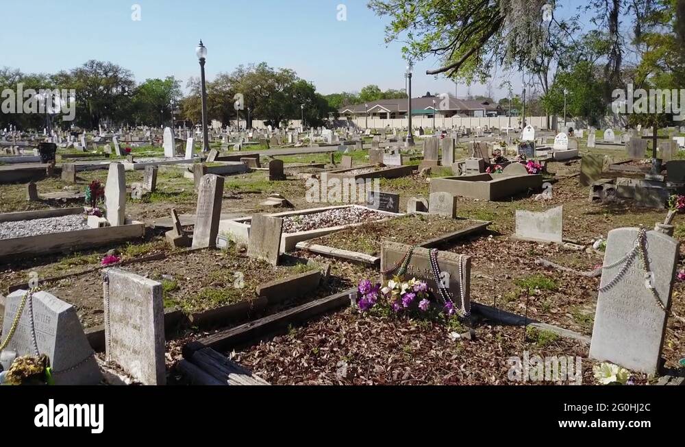 Untended graves Stock Videos & Footage HD and 4K Video Clips Alamy
