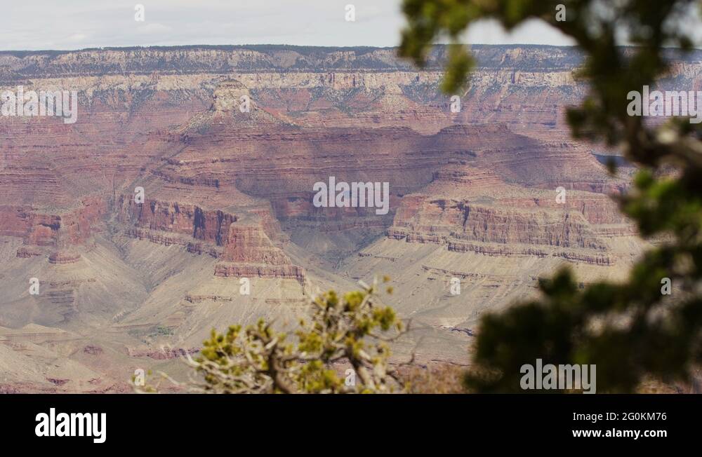 Geology of grand canyon Stock Videos & Footage Biology Diagrams
