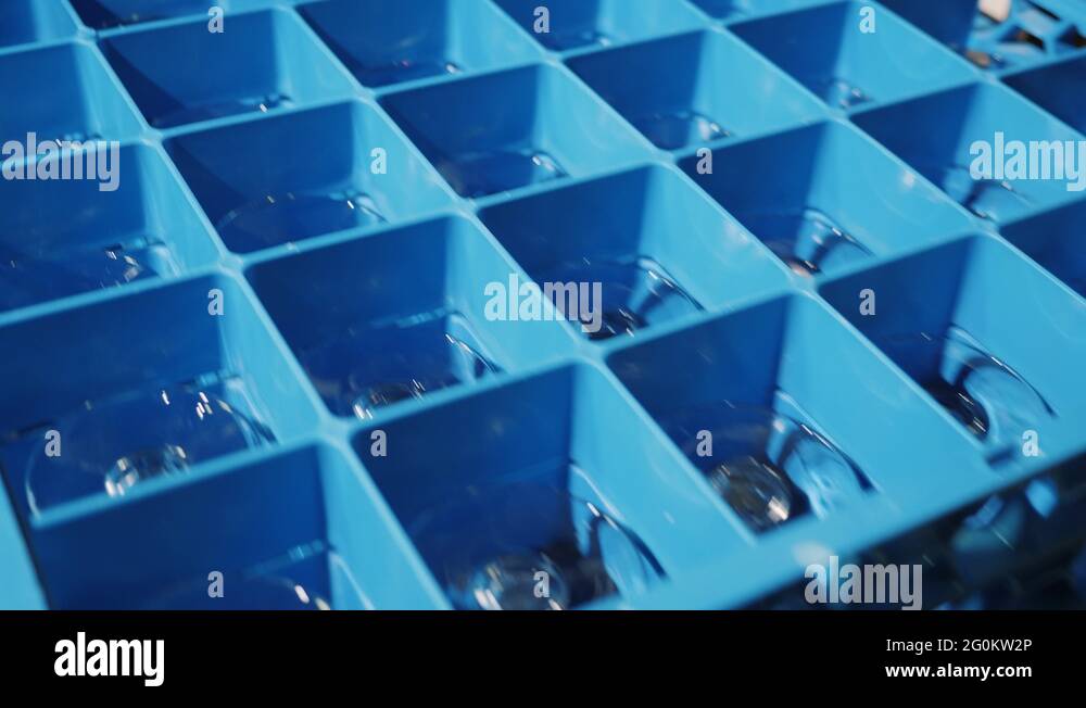 Get the box with clean glasses from a professional dishwasher Stock