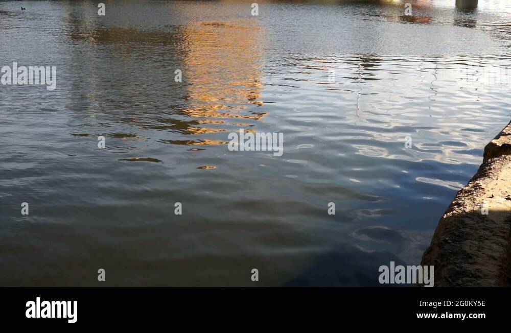 Cheeseheads Stock Videos & Footage HD and 4K Video Clips Alamy