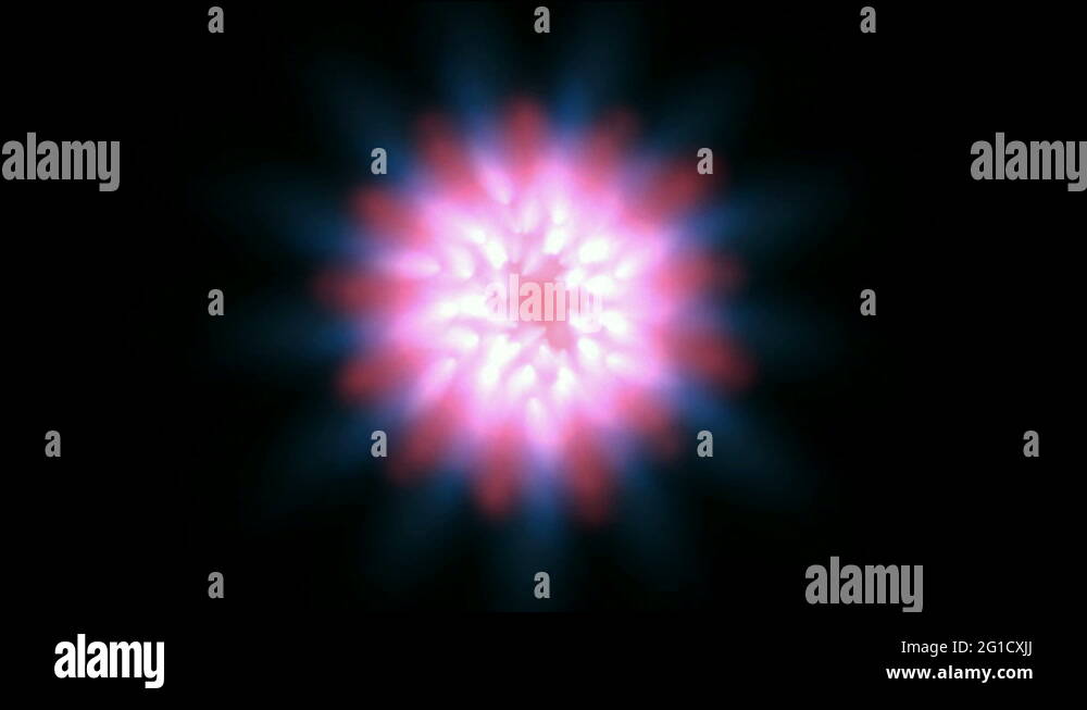 Ray flower Stock Videos & Footage HD and 4K Video Clips Alamy