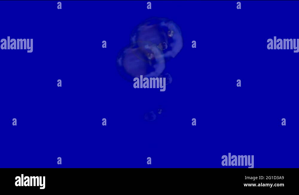 Continental shelf underwater Stock Videos & Footage HD and 4K Video