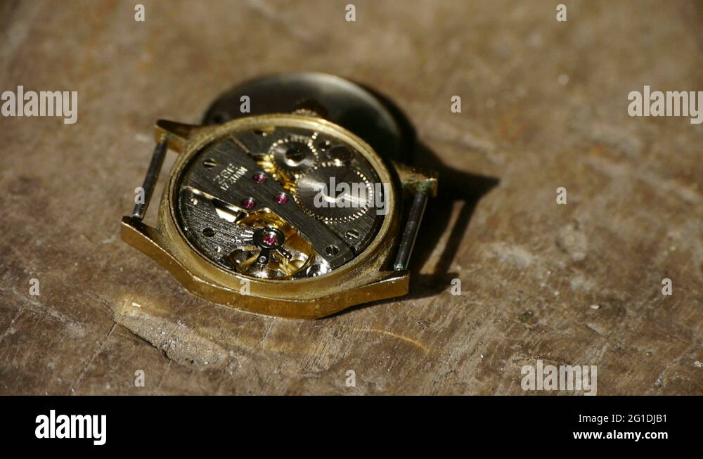 internal structure of Watch,bearings,gears Stock Video Footage Alamy