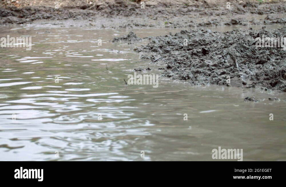 Road water trace Stock Videos & Footage - HD and 4K Video Clips - Alamy