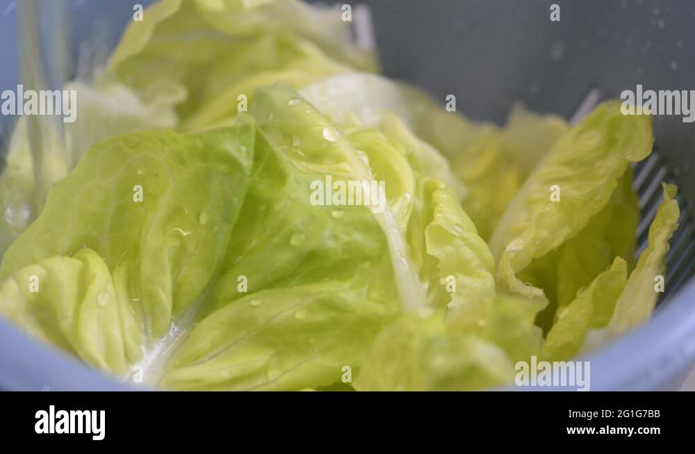 Washed salad leaves Stock Videos & Footage HD and 4K Video Clips Alamy