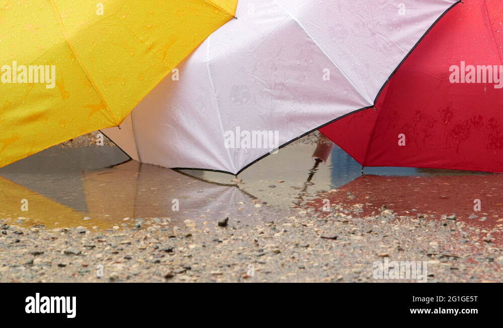 Raining weather rain wet umbrella umbrellas Stock Videos & Footage HD and 4K Video Clips Alamy