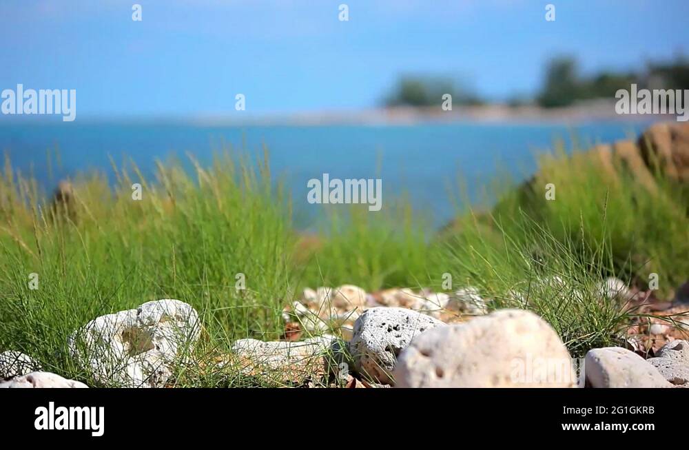 Coast Sand Stones Grass Stock Videos Footage HD And 4K Video Clips coast-sand-stones-grass-stock-videos-footage-hd-and-4k-video-clips
