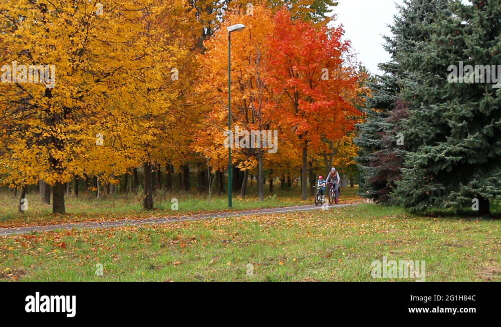 Cycling Road Uk