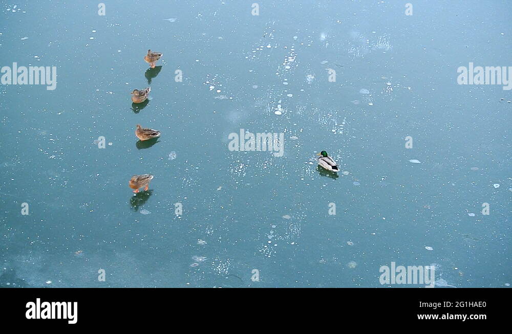 About linger lake Stock Videos & Footage HD and 4K Video Clips Alamy